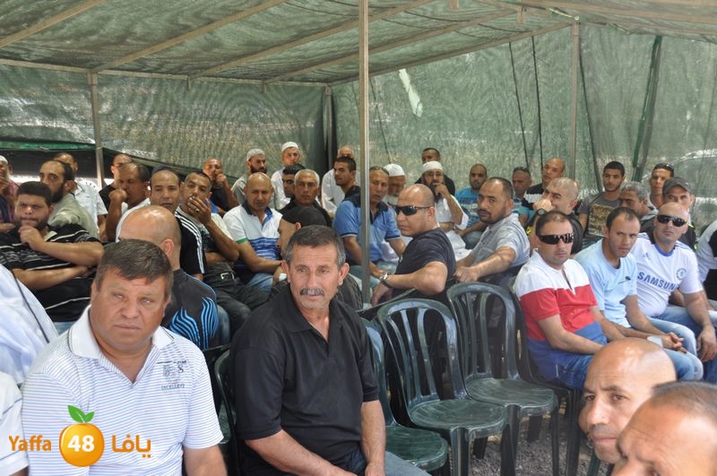 sol7desoqylud615 (11).JPG